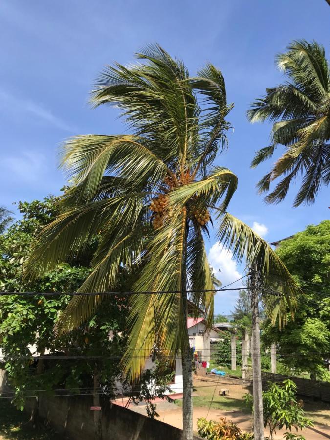 Wh Beach Resort Weligama Bagian luar foto